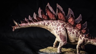 A rare stegosaurus skeleton was auctioned for $6 million