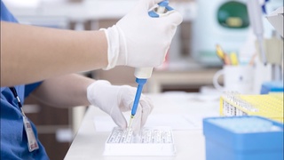 Yangi kasallanayotgan bemorlarda koronavirusning aynan qaysi shtammi kuzatilmoqda?