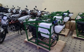 ФАО помогает Узбекистану в борьбе с саранчой