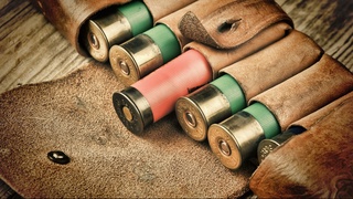 За два дня группа «охотников» истребила практически целый заказник