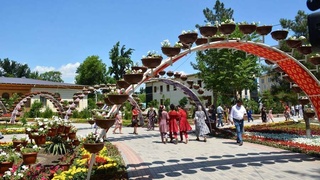 Увлекательное путешествие в прошлое