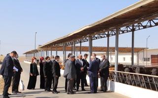 Туркманистонлик  тадбиркорлар Хоразмдаги бир қатор лойиҳалар билан танишди