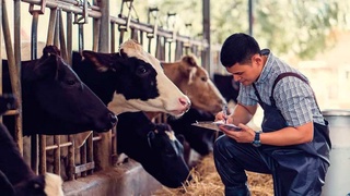 Приусадебный участок - источник дохода