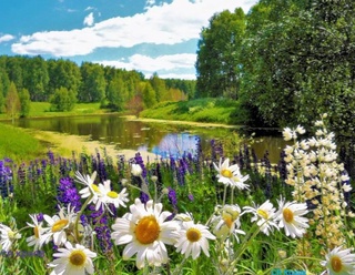 Прогноз погоды на день 31 августа