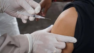 Агентство в Петербурге получило право проверять справки о прививке, выданные в Узбекистане