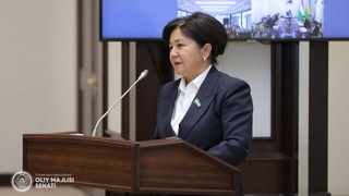 Вопрос обеспечения работой выпускников находится в центре внимания сенаторов