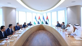 The President of Uzbekistan reviews the implementation of infrastructure projects with the SWS