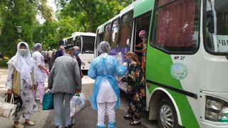 Сардобаликлар дастлабки дам олувчилар бўлди