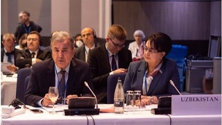 ЕХҲТ Ўзбекистонда конституциявий ислоҳотлар бўйича ўтказиладиган референдумга кузатувчиларни юборишга тайёр