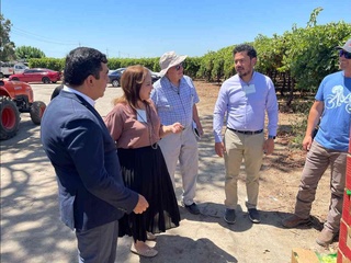 Өзбекстандық аграрлық саланың өкілдері Лос-Анжелесте сапарда