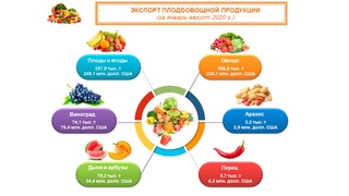 Экспорт плодоовощной продукции Узбекистана за 8 месяцев 2020 года снизился на 31%