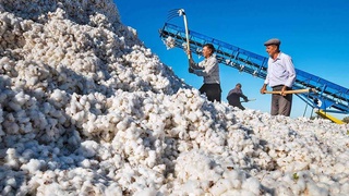 Реформы: политическая воля - конкретный результат