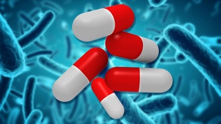 ВОЗ: новые антибиотики не решают проблему резистентности