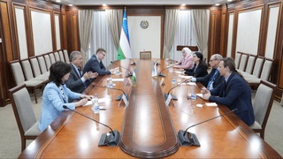 The First Deputy Chairman of the Senate met with the Head of the OSCE ODIHR Mission to monitor the referendum in Uzbekistan