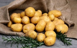 Узбекистан вошел в пятерку крупнейших импортеров картофеля в мире