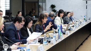 Demokratiya va inson huquqlari: barqaror rivojlanish omillari