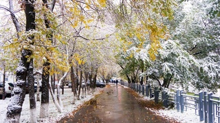 Weather forecast for December 18th