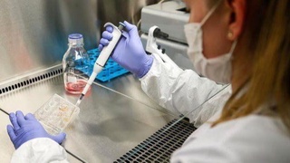 Республика махсус комиссияси ахбороти