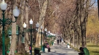 Ertaga ayrim viloyatlarda 20 daraja iliq ob-havo kuzatiladi