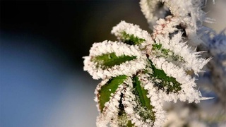 Необычное погодное явление для Узбекистана 