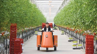 Ташкентский район: современное сельское хозяйство - гарантия благополучной жизни