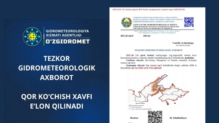 Тошкент ва Наманган вилоятларида қор кўчиш хавфи эълон қилинди