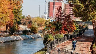 Прогноз погоды на 11 ноября