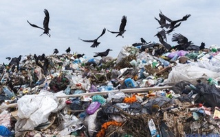 Olimlar Yer yuzida har yili tashlanadigan chiqindilar hajmini hisoblab chiqishdi