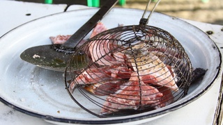 Ташкентцы продолжат ездить в Чиназ за рыбой