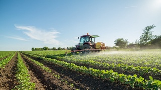 Tomorqasi katta xonadonlarda nafaqa olish imkoniyati koʻpaymoqda