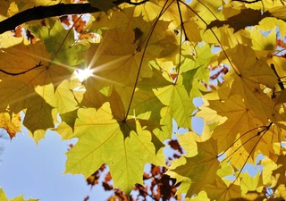 Weather forecast for September 25th