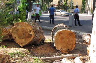 В Узбекистане с 1 августа вступают в силу новые штрафы за экологические правонарушения