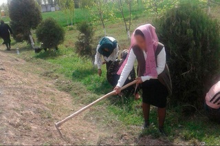 Joriy yilda 28 ta holatda majburiy mehnatga jalb etilgani aniqlangan