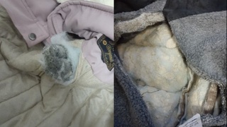 Пресечена очередная попытка ввоза наркотиков