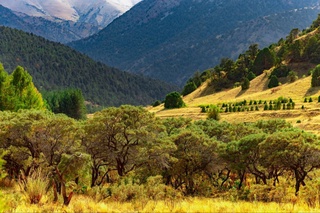 Uzbekistan has ratified the Aarhus Convention