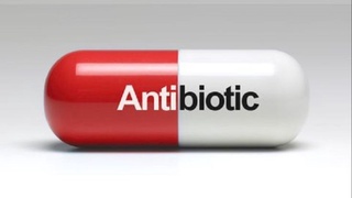 Антибиотикларни қабул қилишдаги муҳим қоидалар