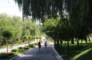 Узгидромет: температурный фон этой недели будет ниже нормы