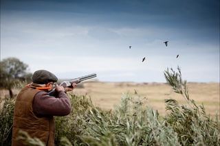 Ов қилишнинг янги тартиб-қоидалари жорий этилди