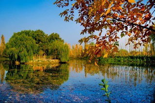 Жексенбі күні республиканың барлық аймақтарында ауа температурасы төмендей бастайды