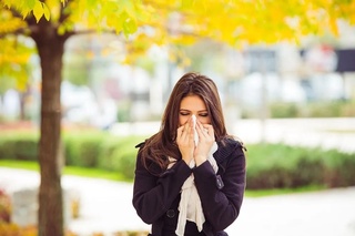 Кузги аллергияни шамоллаш ва гриппдан қандай фарқлаш мумкин?