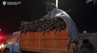 В Хорезме гражданин пытался вывезти краснокнижный саксаул