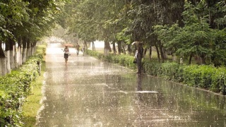 Прогноз погоды на 27 августа