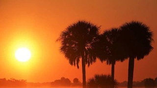 2021 год стал одним из семи самых теплых лет в истории наблюдений