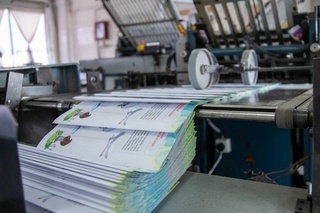 Каково количество предприятий в издательском секторе Узбекистана?