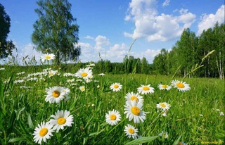 Weather forecast for June 22