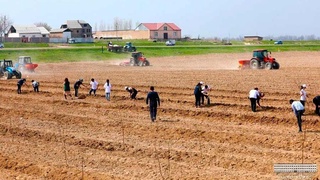 Yoshlar korporatsiyalari tashkil etiladi