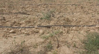 Xalqni kambagʻallashtirayotgan “Xalq banki” kreditlari yoxud oqrabotliklar nimadan norozi?