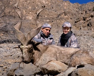 Россиялик овчидан морхўр учун 100 000 доллар миқдорида тўлов ундирилган — Экология вазирлиги