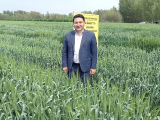 Bugʻdoyning serhosil navi