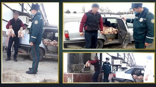 Задержан мужчина перевозивший мясо птиц в салоне автомобиля